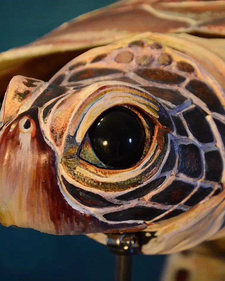Close-up of the painted head and glossy eye of the daughter turtle puppet