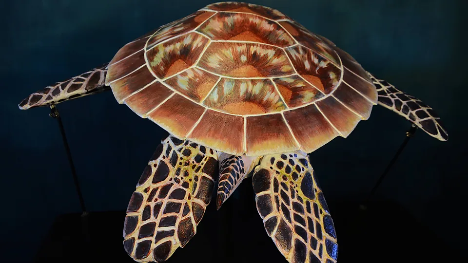 Finished daughter turtle puppet with a hand-painted shell and patterned flippers, on its stand against a dark backdrop